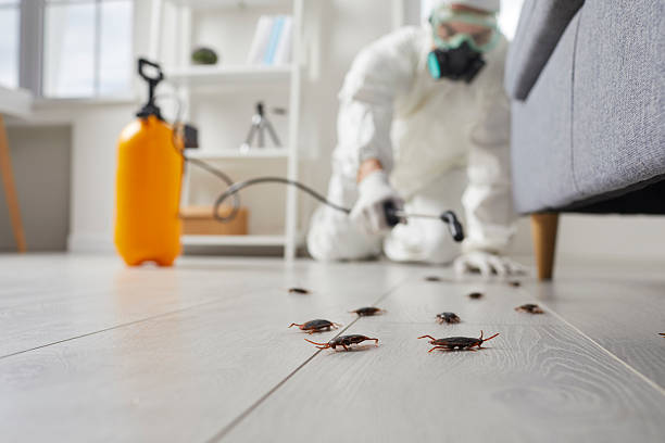Commercial Kitchen Cockroach Control in Lambertville